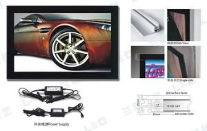 Profesyonel manyetik kristal ince ışıklı